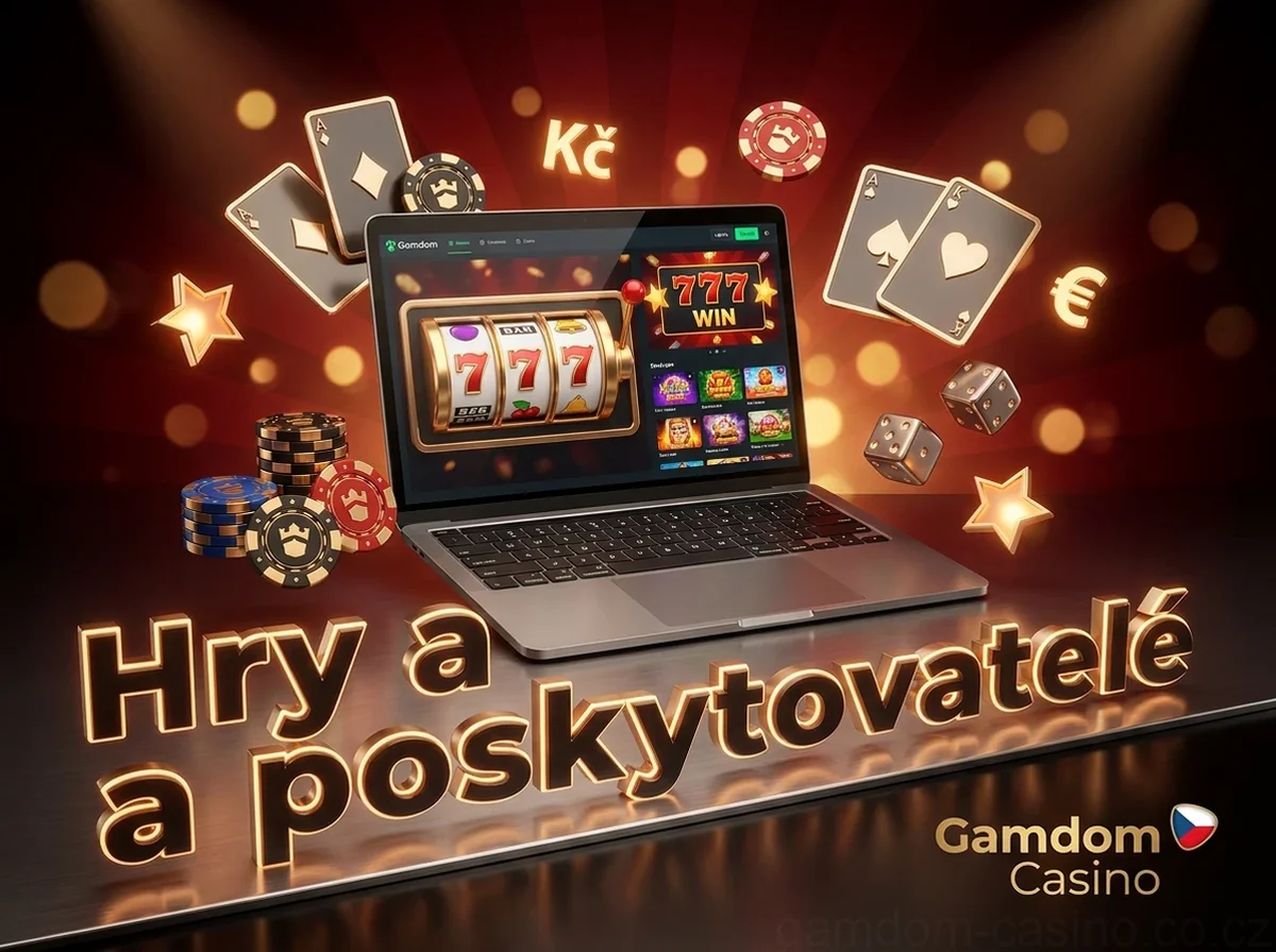 Hry a poskytovatelé